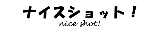 ナイスショット!